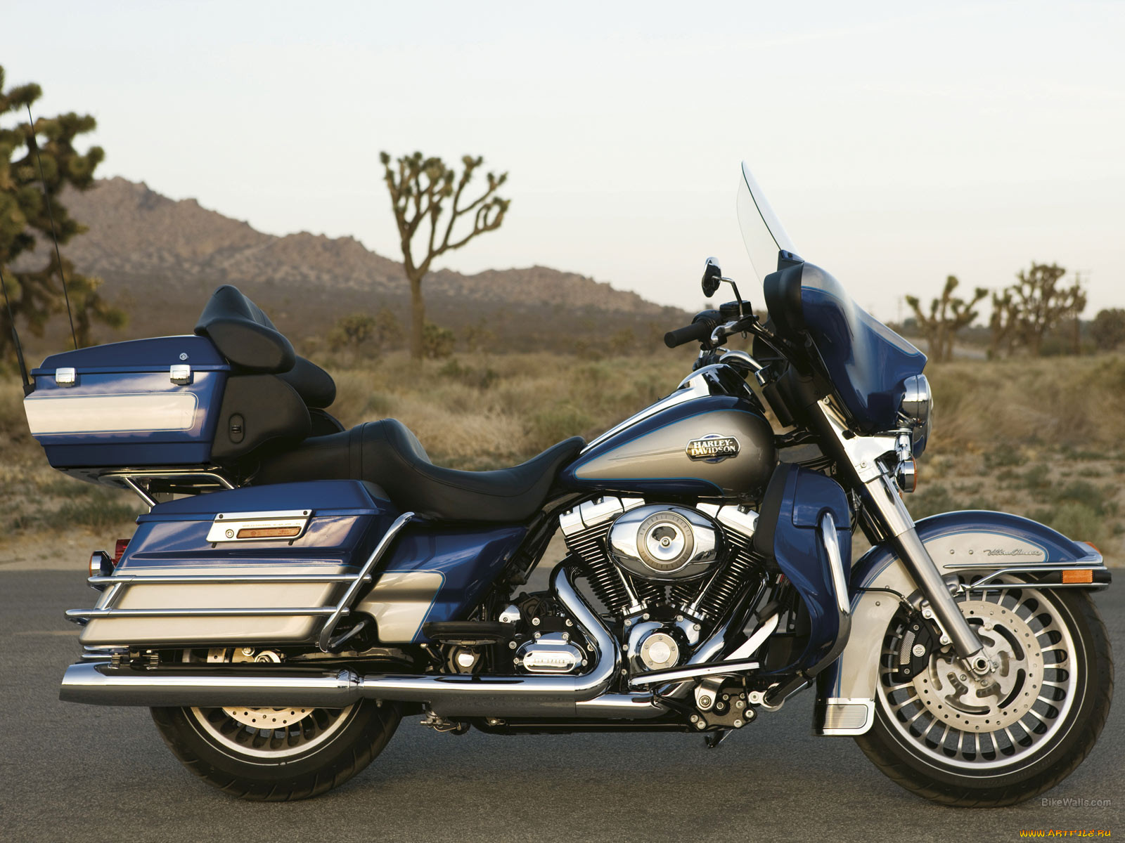 , harley, davidson